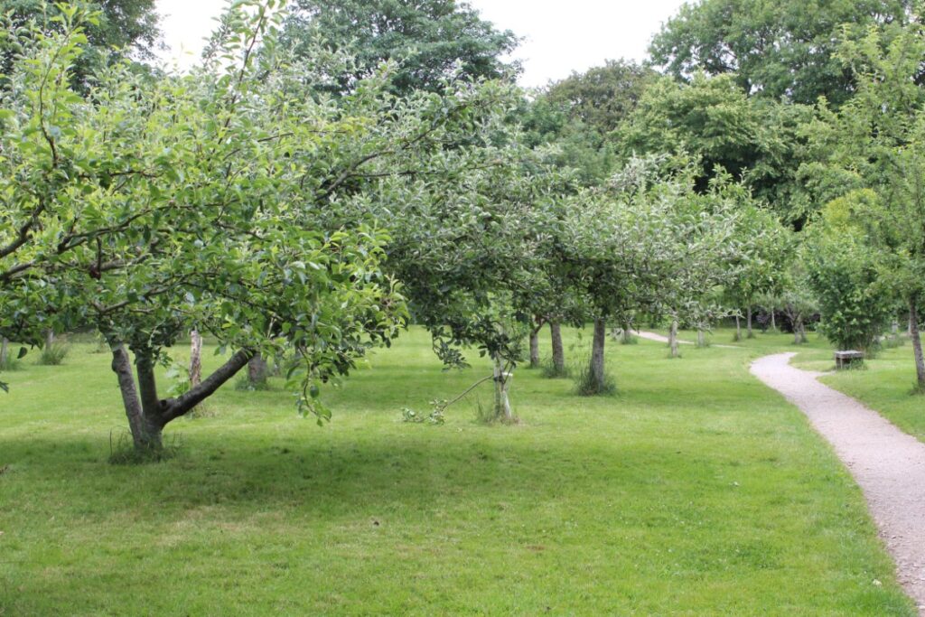 Fairfield Community Orchard