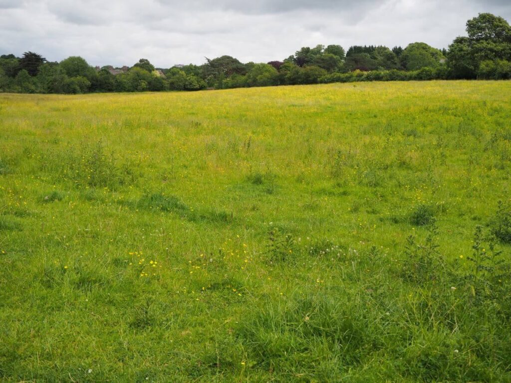 View27-Lower Sowerholme from gate towards Aldcliffe Rd-19 June 2022