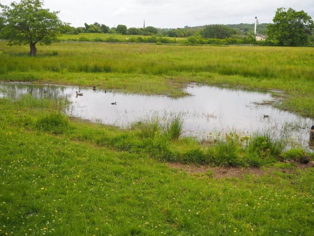 View29-Alder Pond from Viewing Point Album