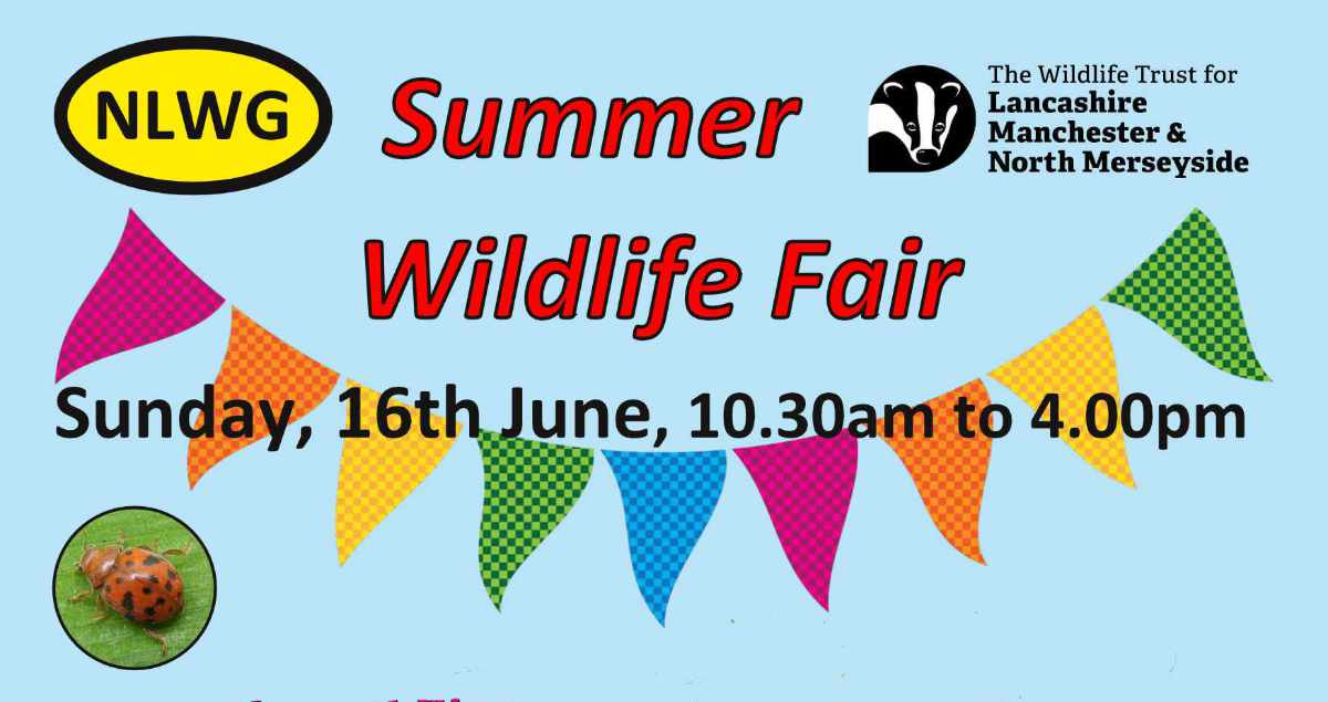 NLWG 2024 Wildlife Fair flyer