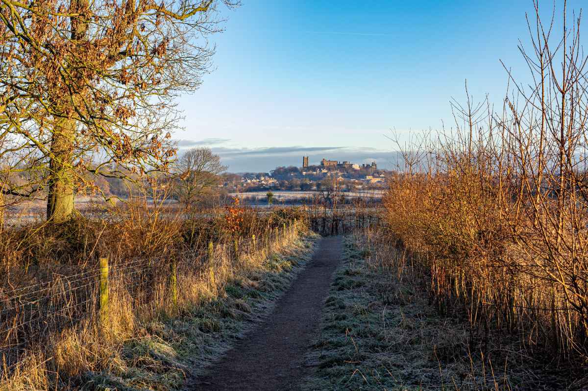 Castle view from the Pony wood. Peter Kay