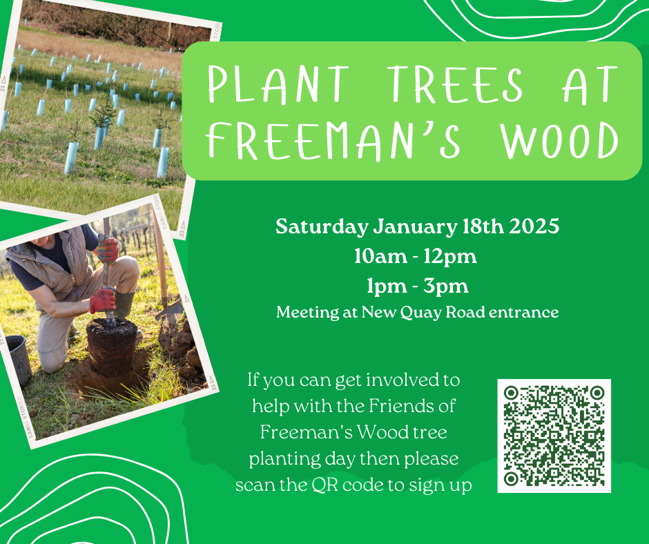 Freemans Wood Planting Day, 18 January 2025