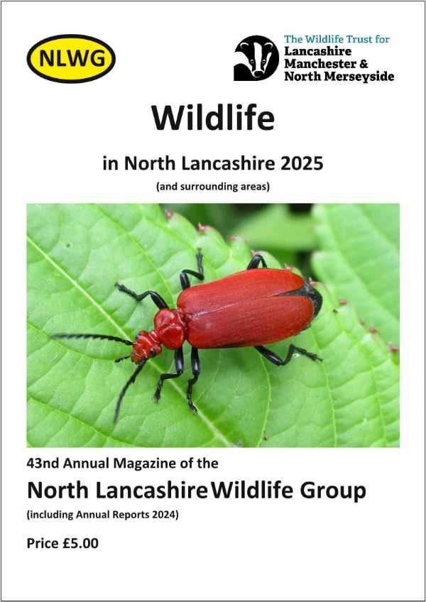 Cover of NLWG 2025 "Wildlife In North Lancashire"