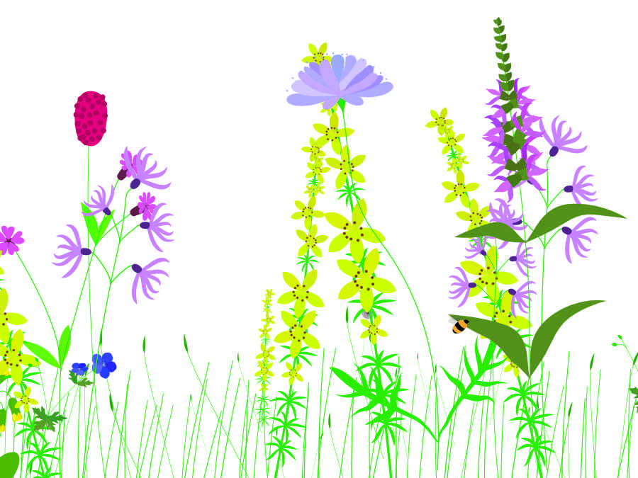 Wildflower painting