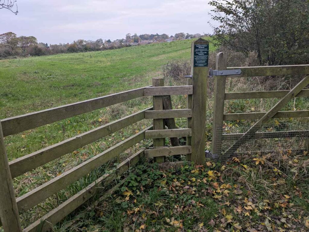 Flora Field Fence