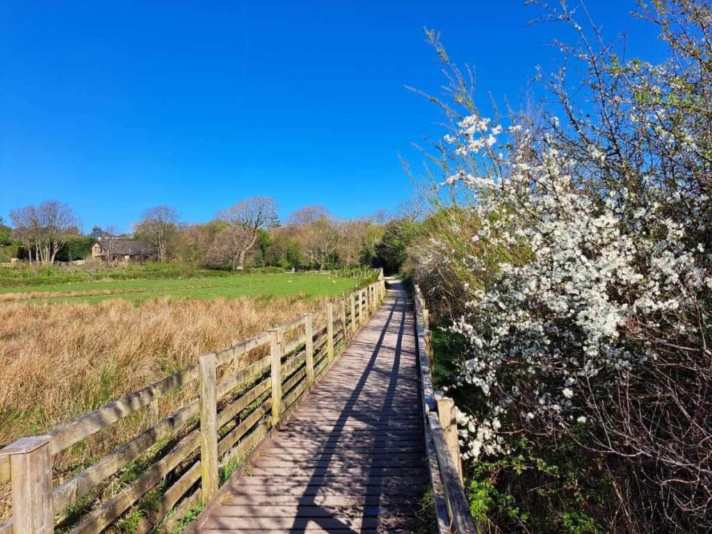 April Boadwalk Ian Procter