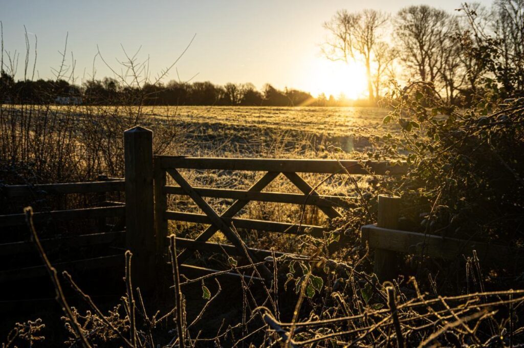 January The gate into Flora Field -Peter Kay