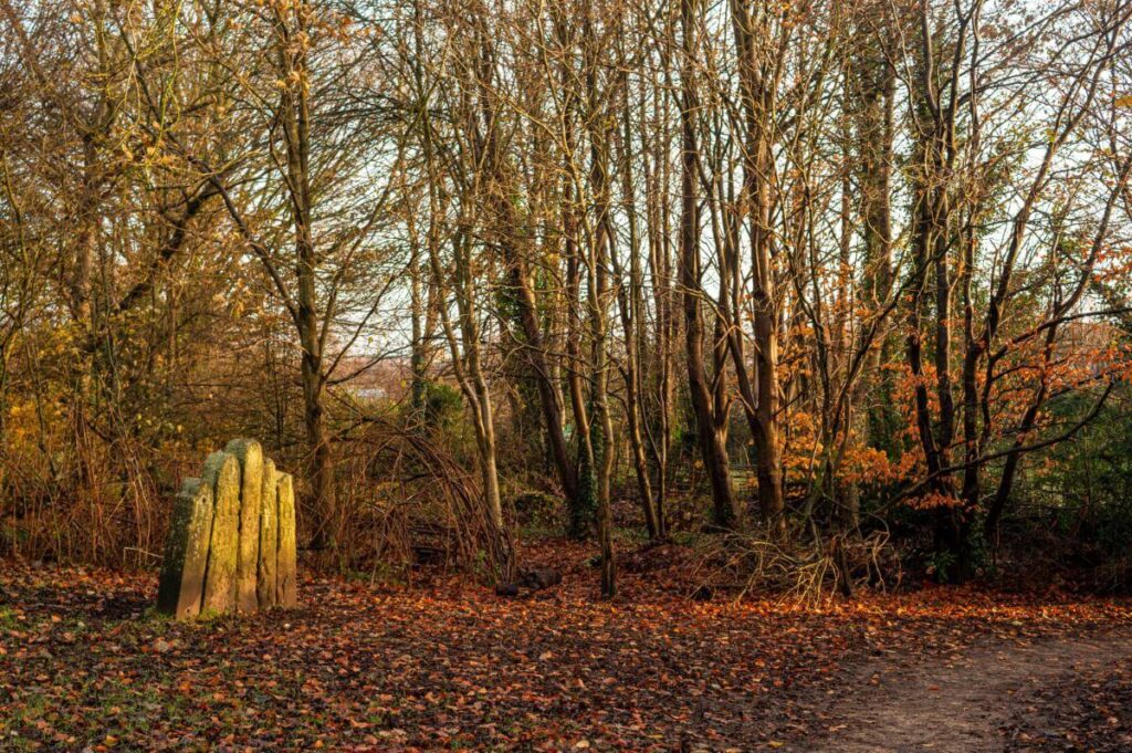 November Autumn at the standing stones by Peter Kay