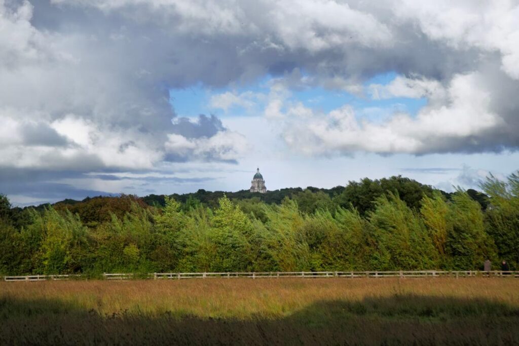 October Big Meadow by Andrew Harris