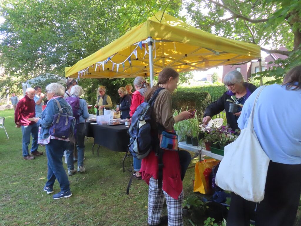 People at cake and plant stall