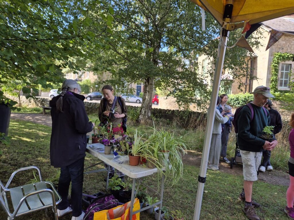 Plant stall